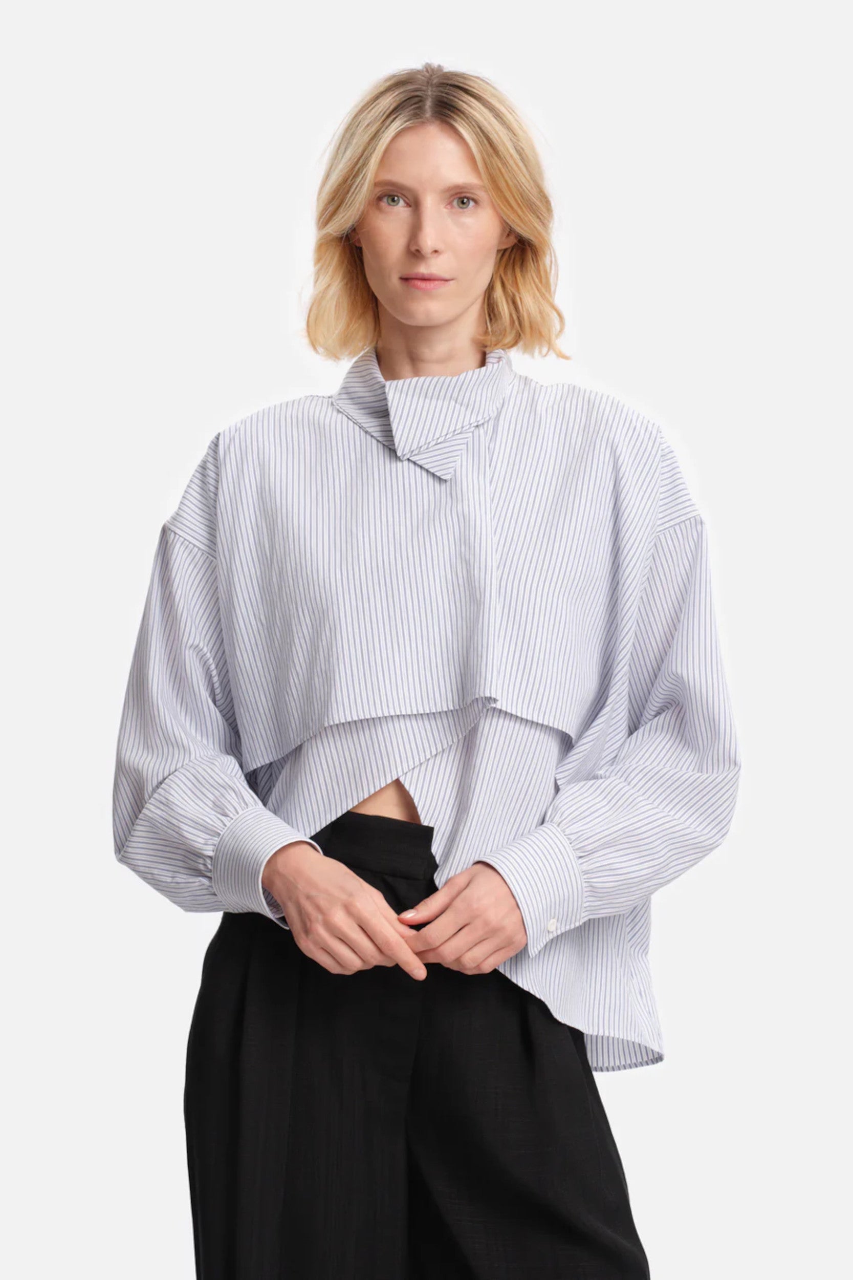 Bird Shirt Blue Stripes