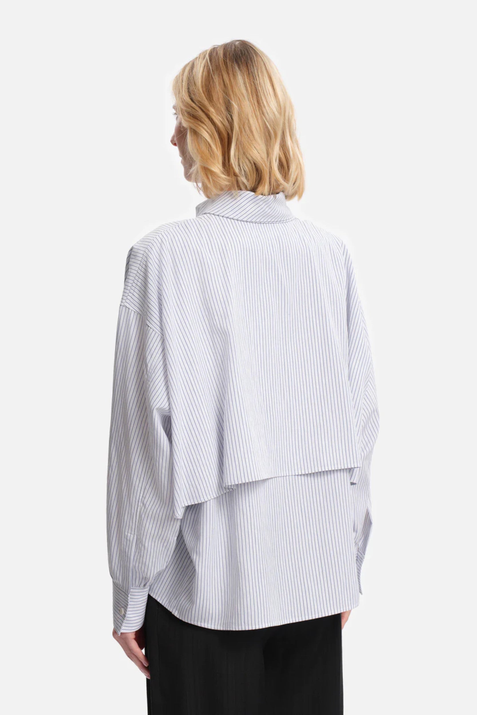 Bird Shirt Blue Stripes