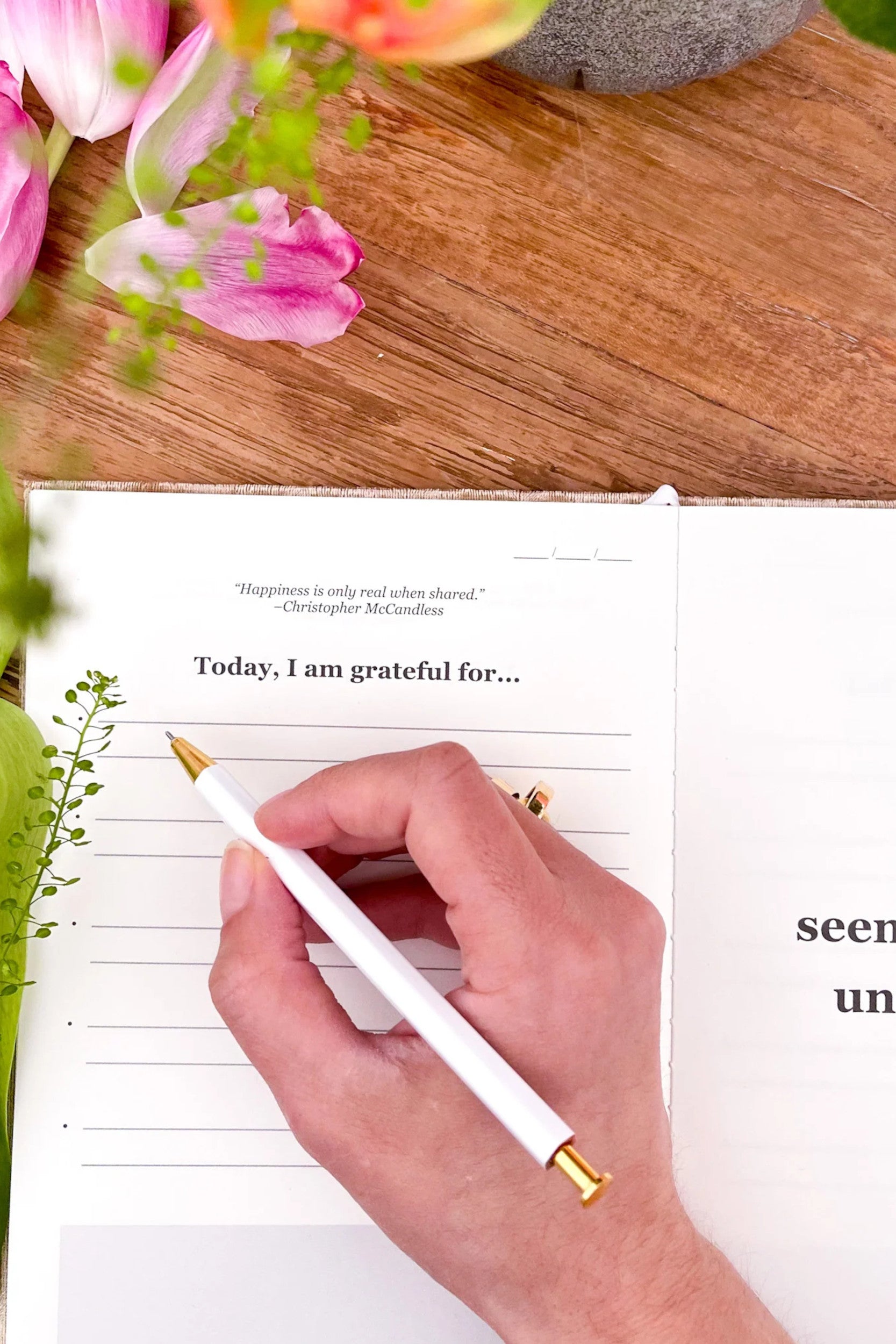 Gratitude List Journal - All Colors