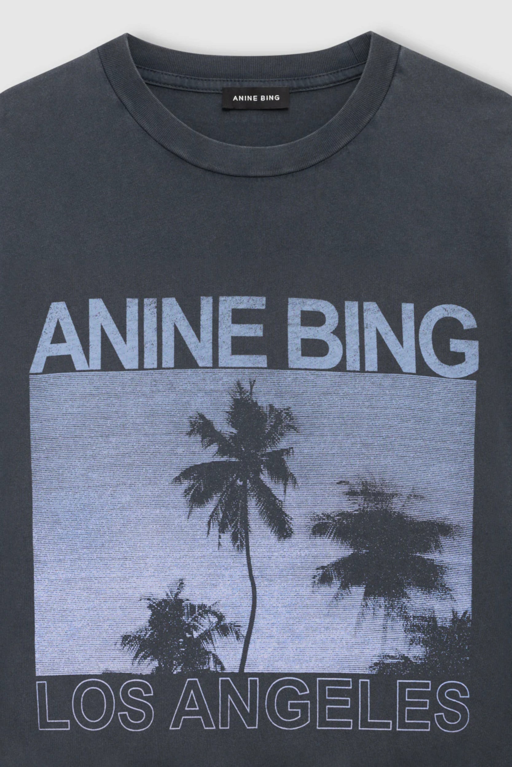 Cade T-Shirt Washed Grey