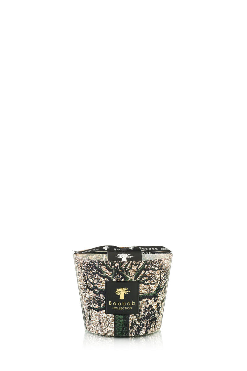Sacred Trees Kani Max 10 Candle Multico