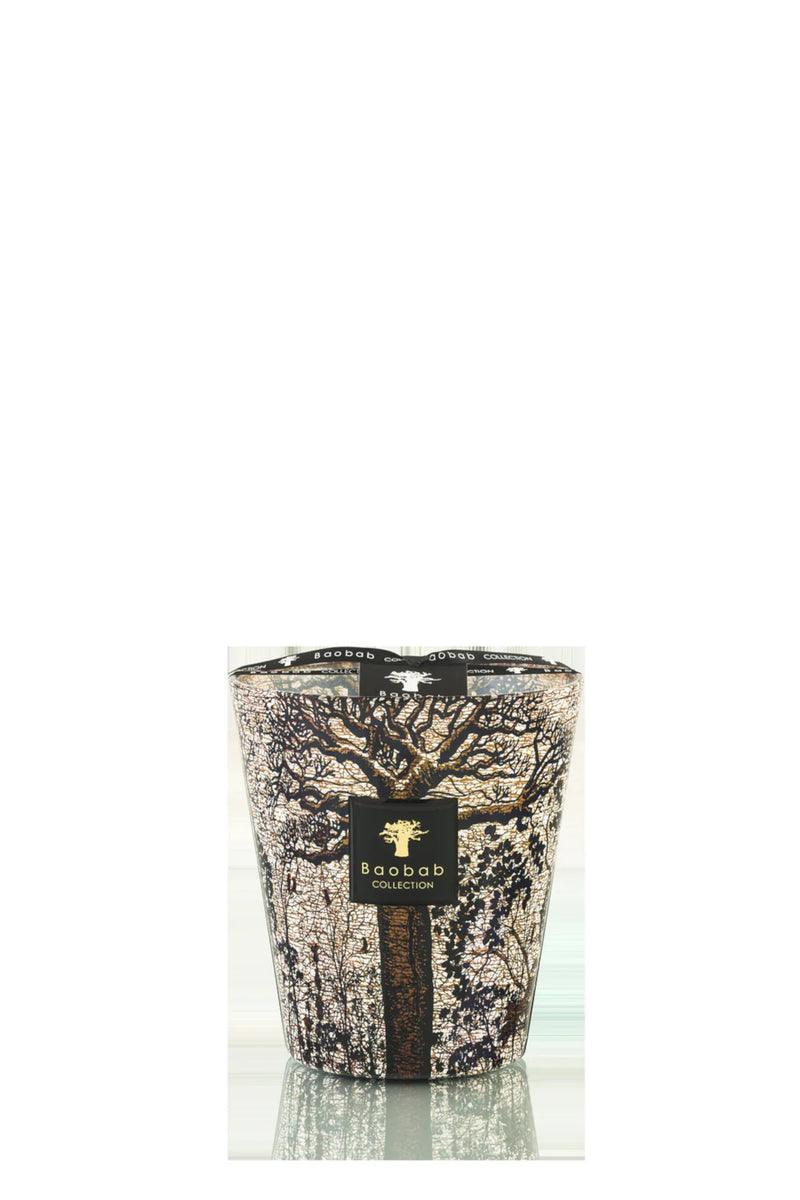 Sacred Trees Morondo Max 16 Candle Multico