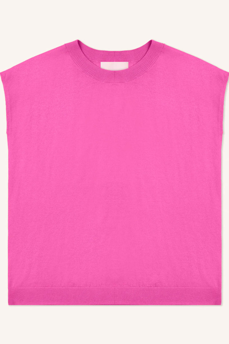 Lucca Crew Neck Tank Sweater Crush