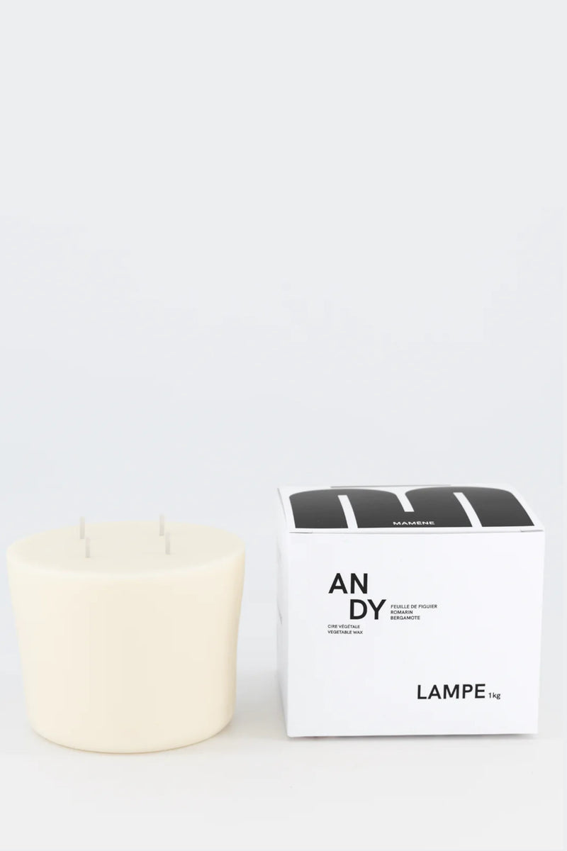 Recharge Lamp 1KG Andy Candle White