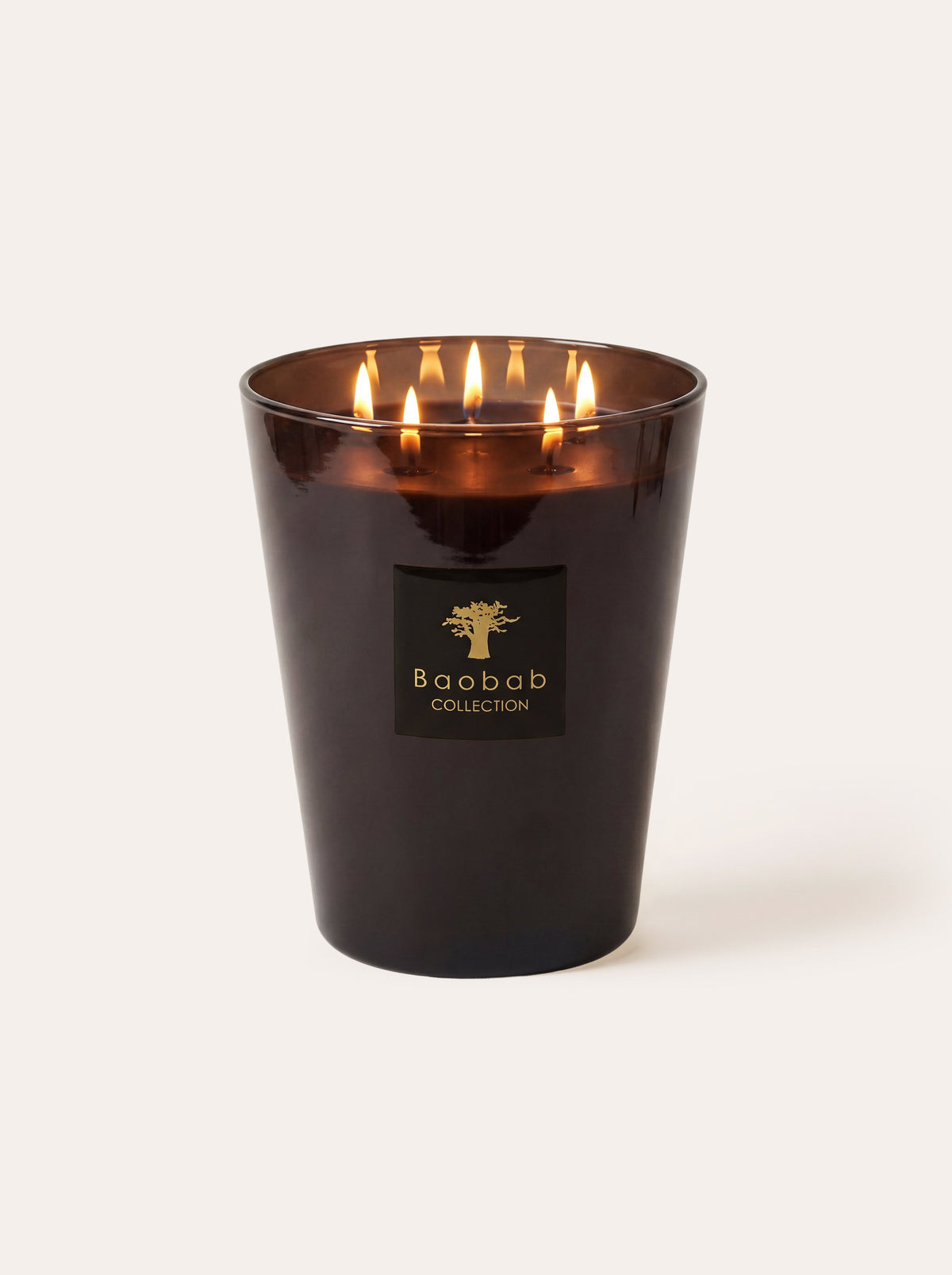 SCENTED CANDLE LES PRESTIGIEUSES ENCRE DE CHINE MAX 16 Baobab, vue 1