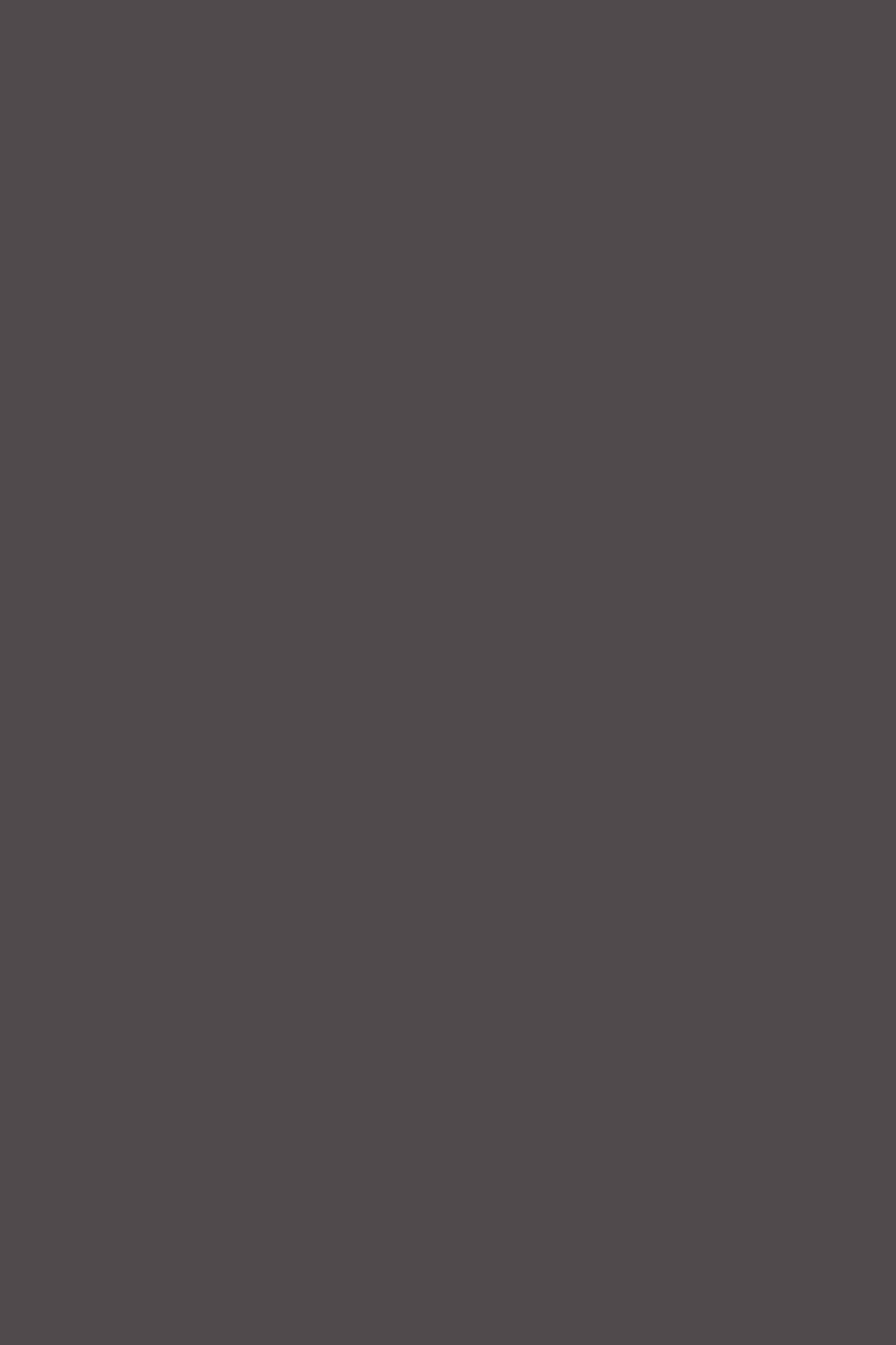 Inja Veste Earthy Marron IRO, vue 1