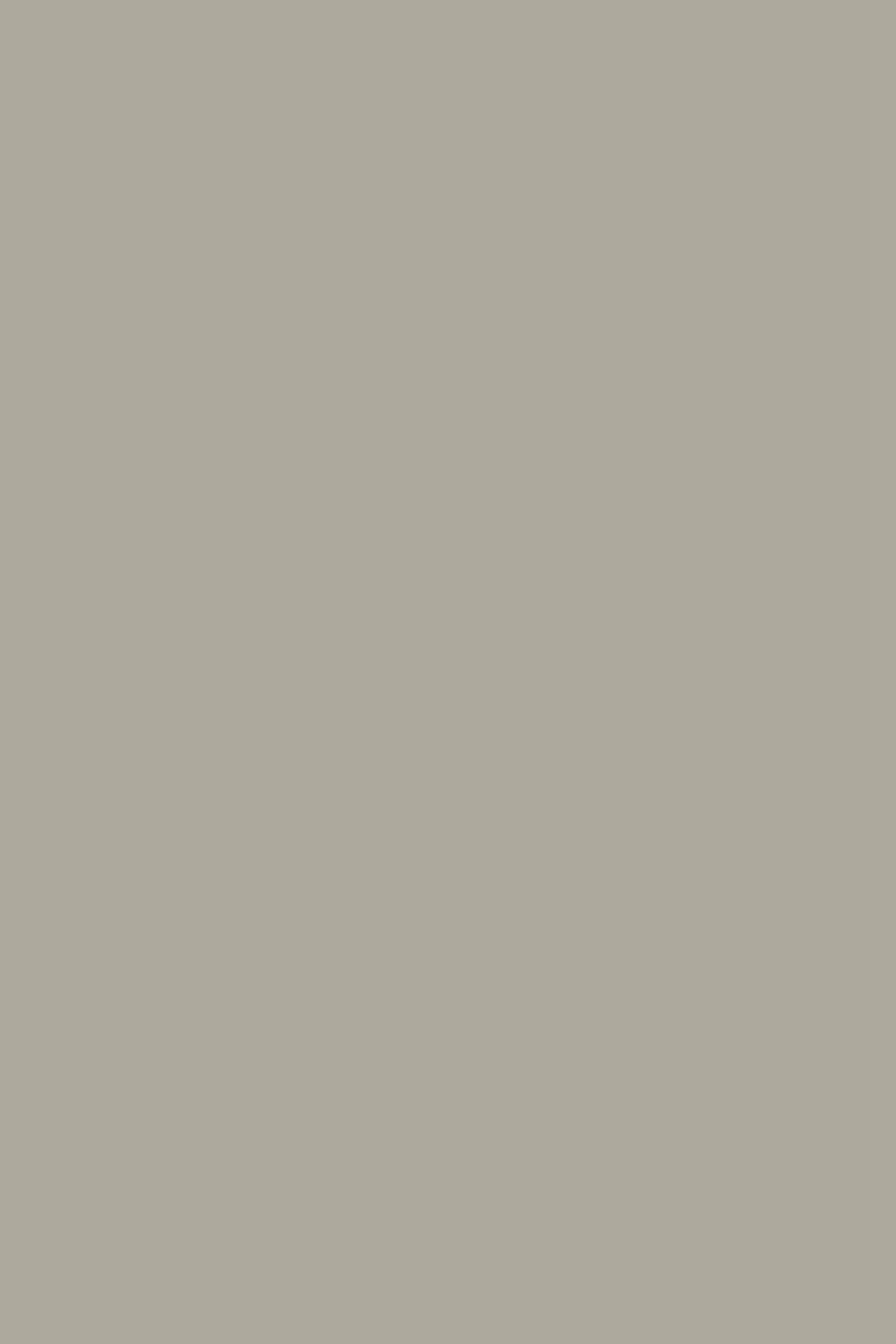 Inja Veste Earthy Marron IRO, vue 7