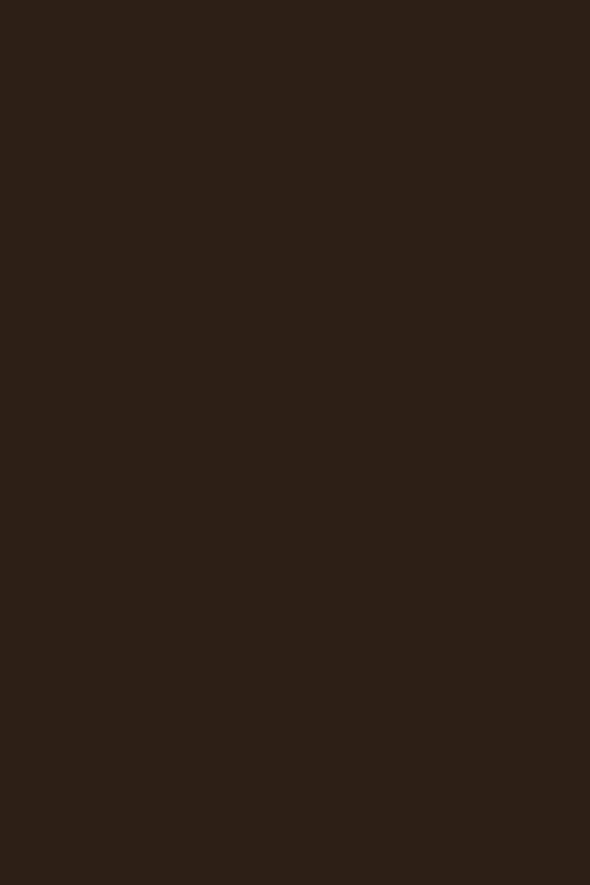 Meyna Robe Earthy Marron IRO, vue 6